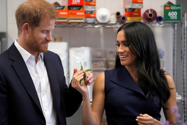 Princi Harry dhe Meghan Markle po punojnë në 2 seriale të Netflix, duke përfshirë një shfaqje gatimi